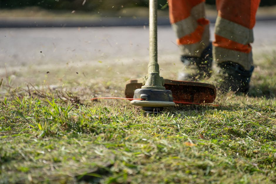 Lawn care professional inspecting green grass